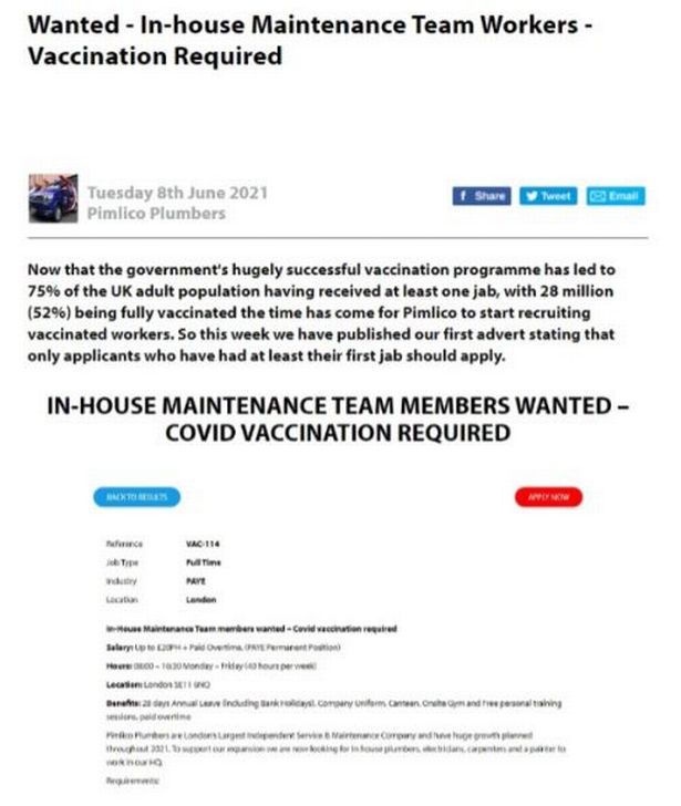 Pimlico Plumbing boss Charlie Mullins introduces 'no jab, no job' policy for new hires