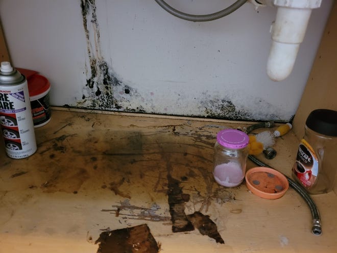 In Colonial Village apartments on the East Side, what looks and smells like a pool of raw sewage collects under tenant Char Jones' kitchen sink. Jones, 62, spends most of her free time scrubbing her apartment with bleach while dealing with a sewer problem that she says has been ignored by management for 15 weeks.