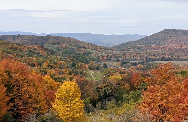 west virginia stock West Virginia utilities now accepting SREC purchases for 50-MW solar portfolio
