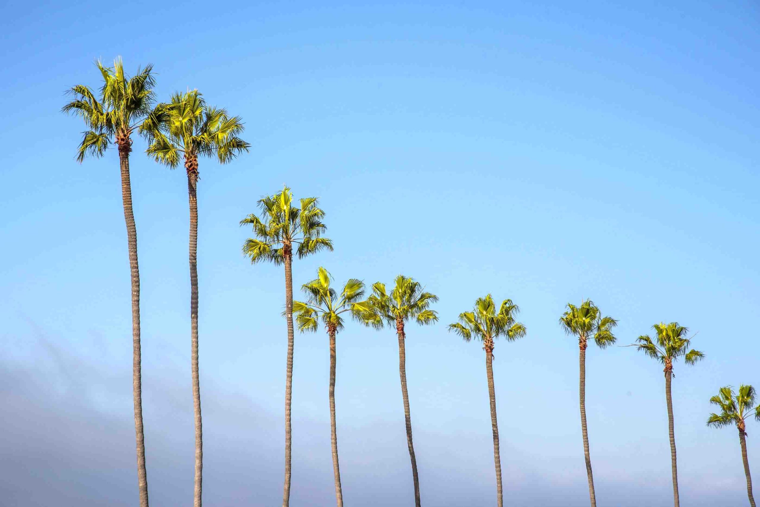 How cold is the ocean in San Diego in December?