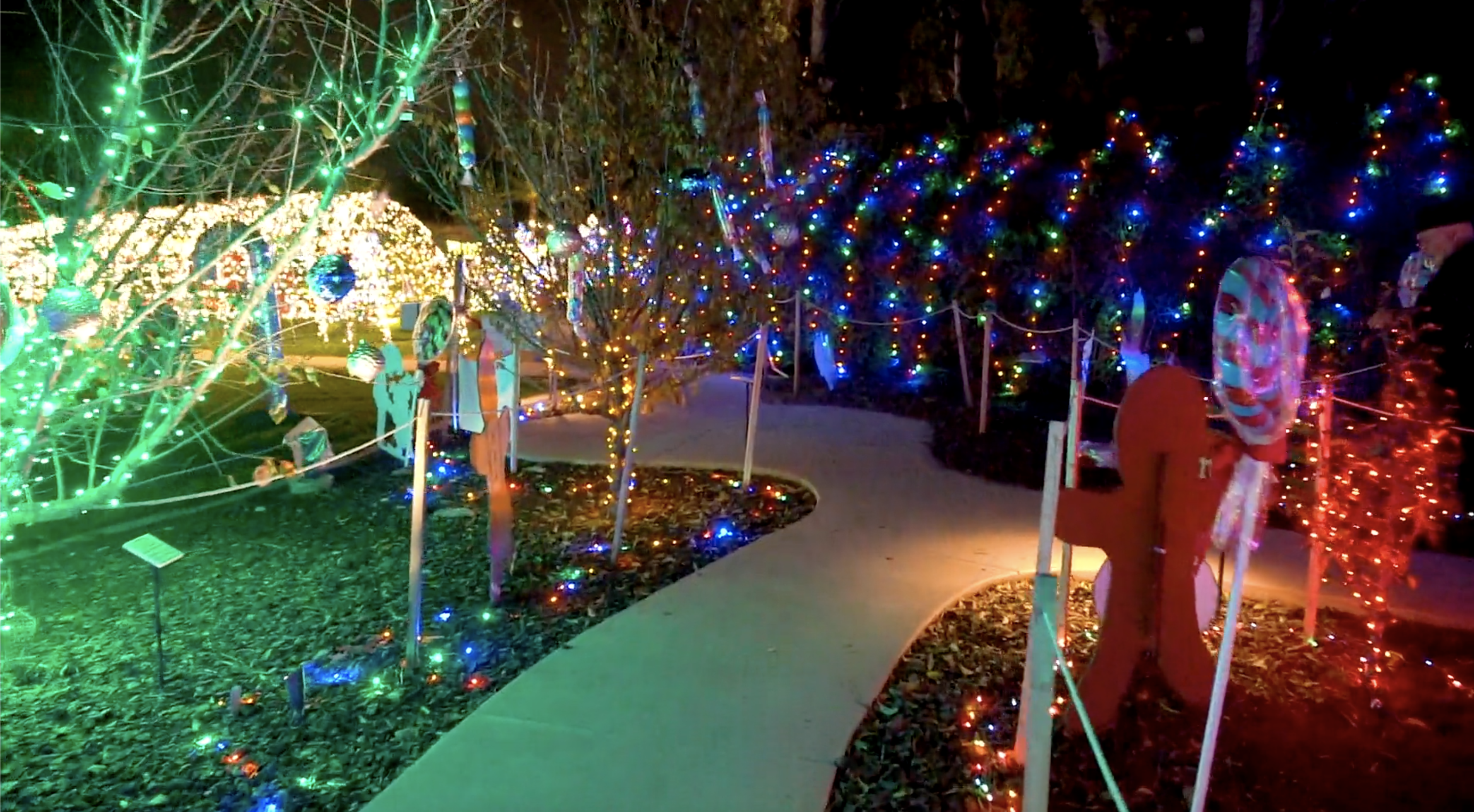 Is Disneyworld open on Christmas Day?