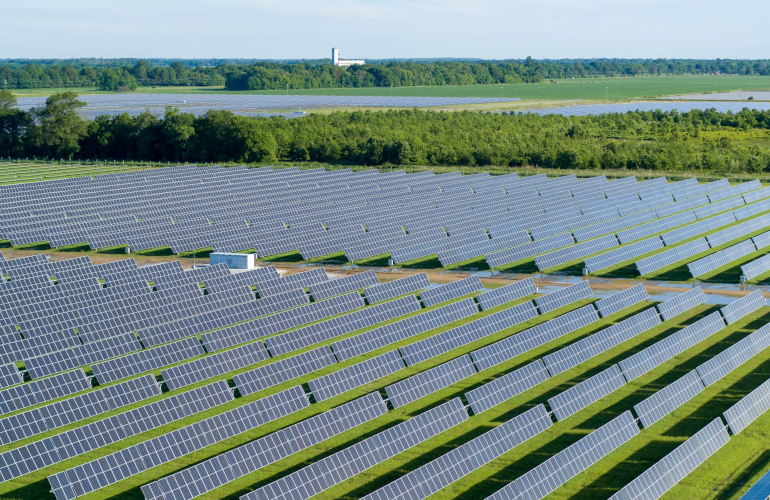 mississippi sunflower 100-MW Sunflower Solar Station completed in Mississippi