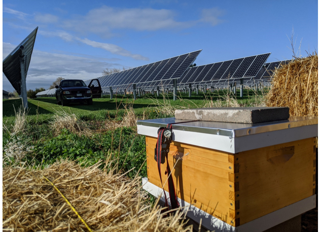 Beehives at Jacks Solar Farm A beehive operated by Best Bees and sponsored by Google located at Jack's Solar Garden. Best Bees installs and maintains honeybee hives on commercial and residential properties across the U.S. and seeks to improve bee health and expand bee populations. Photo courtesy of Byron Kominek